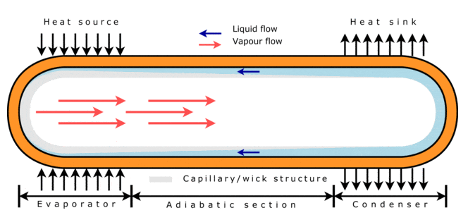 1610605118371054.png blob.png