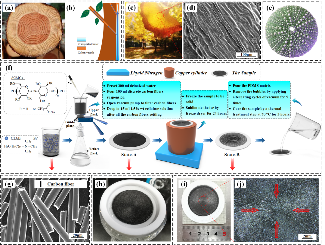 流場(chǎng)驅(qū)動(dòng)自組裝方法（流體剪切力+真空抽濾）制備輻射狀定向功能熱材料