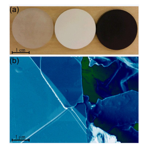 1690088476229465.png 9.png