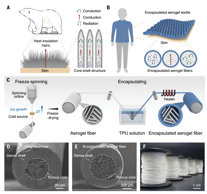 具有優(yōu)異機(jī)械性能的仿生氣凝膠纖維織物