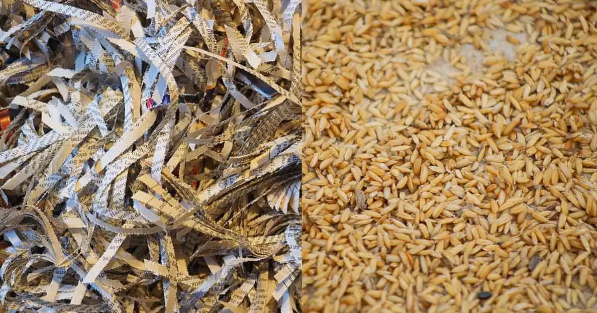 稻殼和回收?qǐng)?bào)紙轉(zhuǎn)化為新型隔熱材料