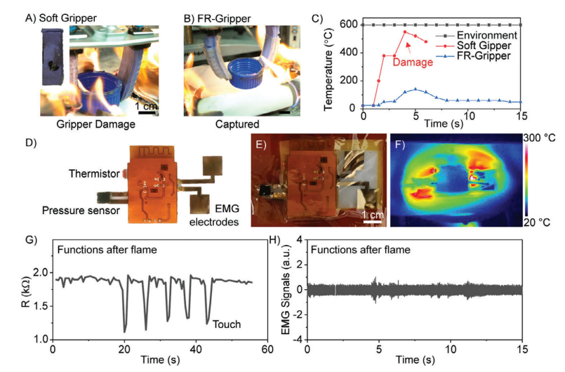 1717230139321527.png 5.png