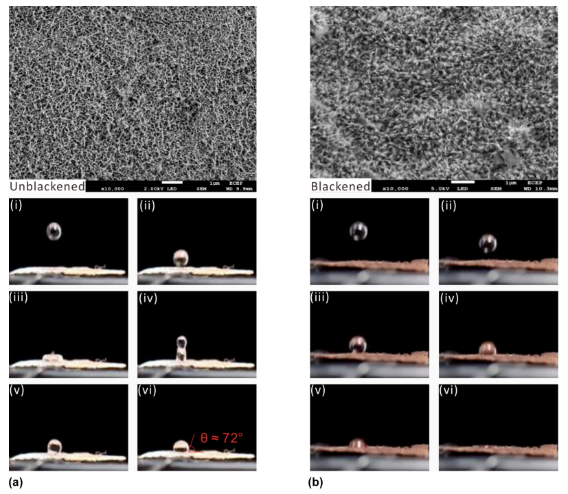 1717382527573996.png 7.png