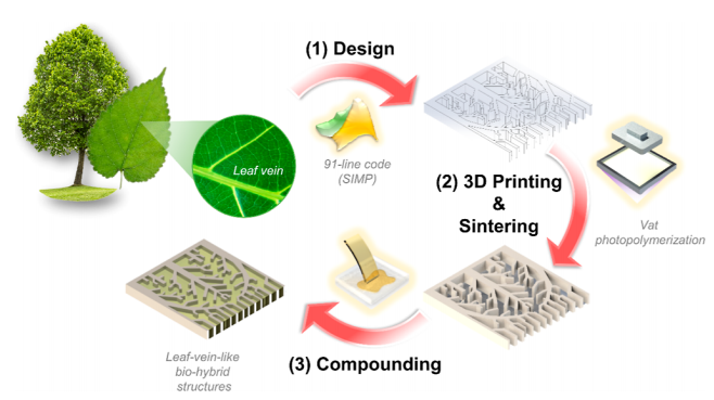 來自大自然，3D打印仿生葉脈狀鋁基板