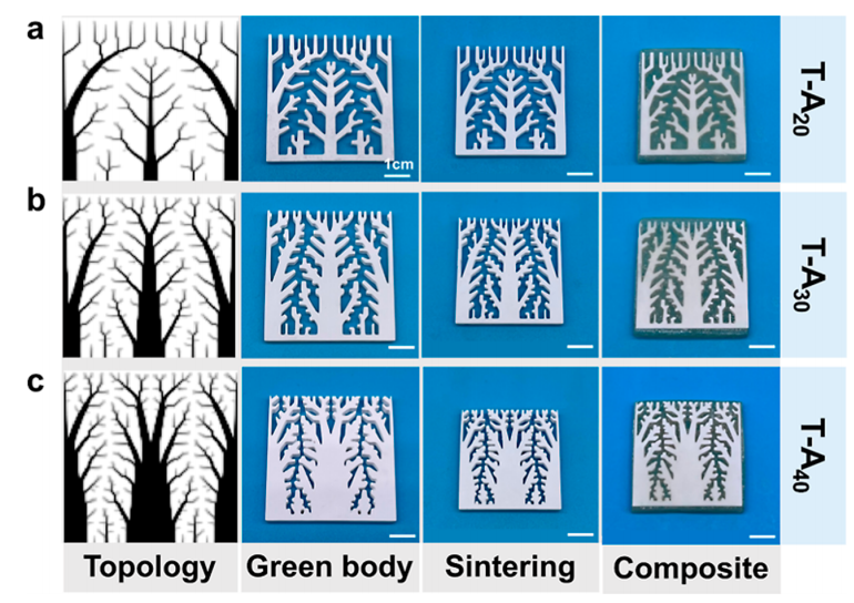 1729001281562401.png 3.png