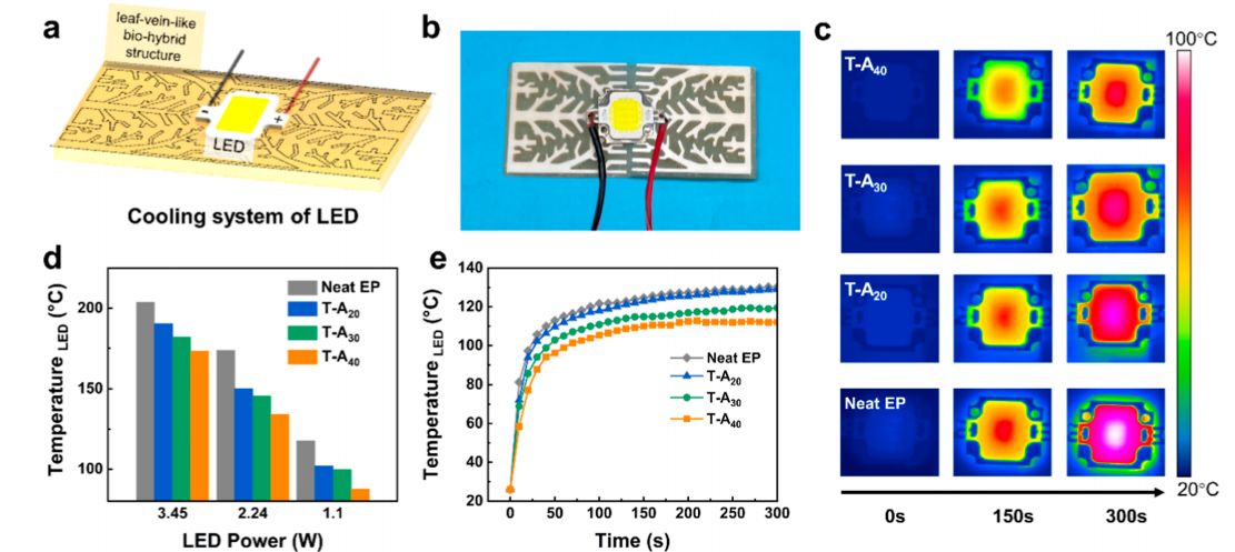 1729001305949209.png 6.png