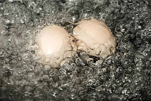 通過研究“傳熱”如何煮出完美水煮蛋？Nature報(bào)道最佳煮蛋技術(shù)