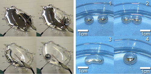 云南宣威打造國際知名液態(tài)金屬谷