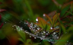 跳躍的水滴：真正的三維熱超導(dǎo)